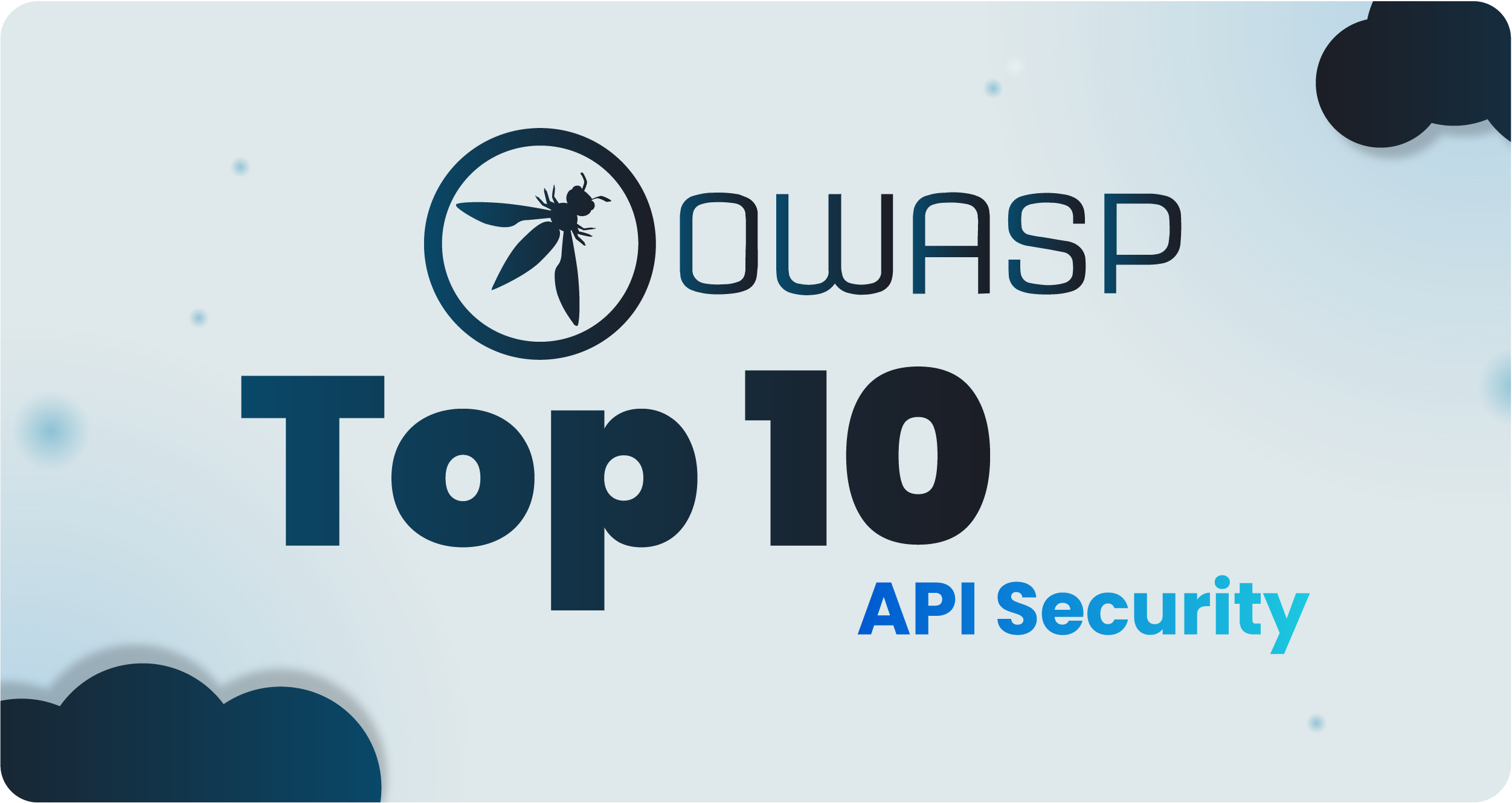 OWASP API Security Top 10​